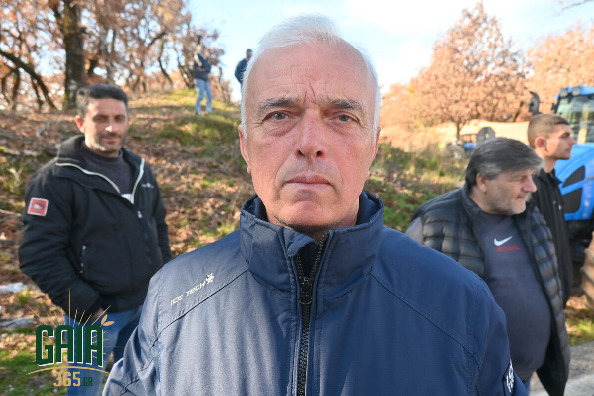 mploko panopoulou 13