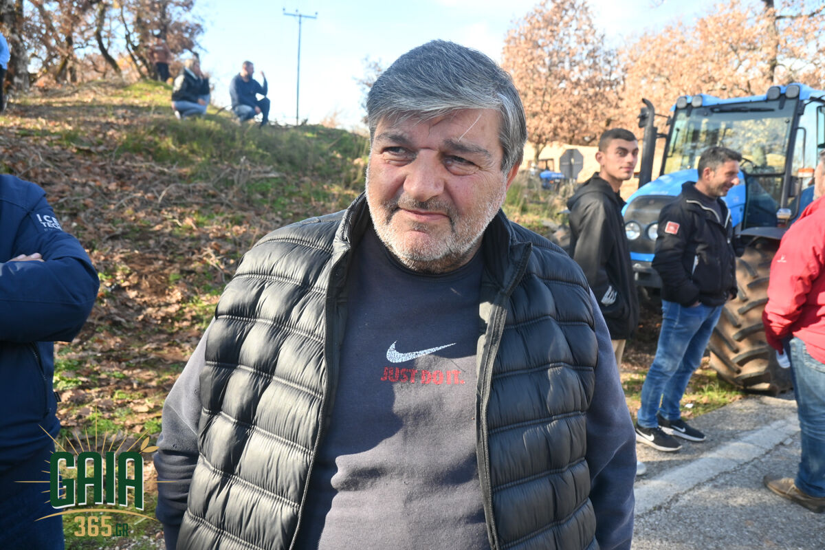 mploko panopoulou 14