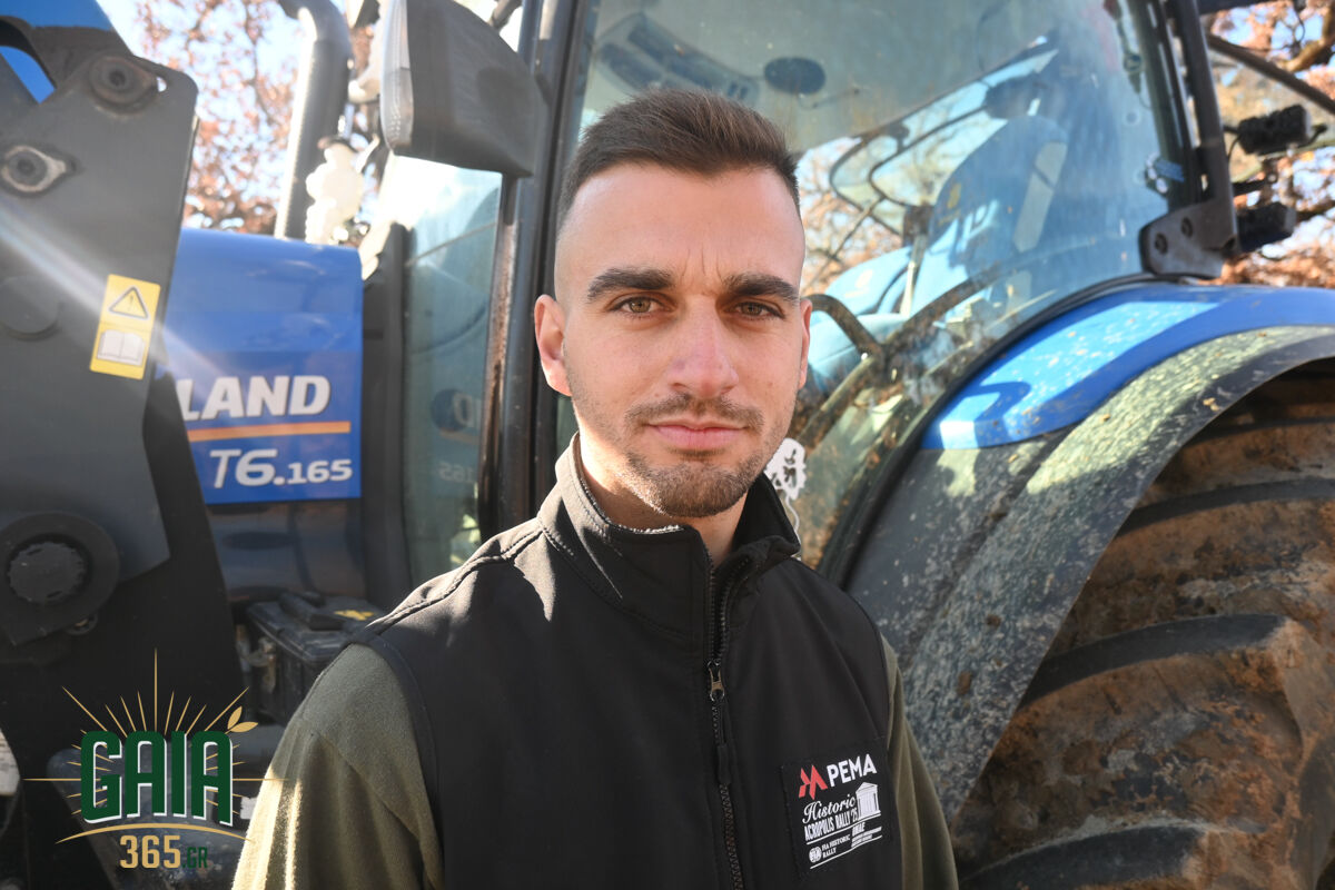 mploko panopoulou 15