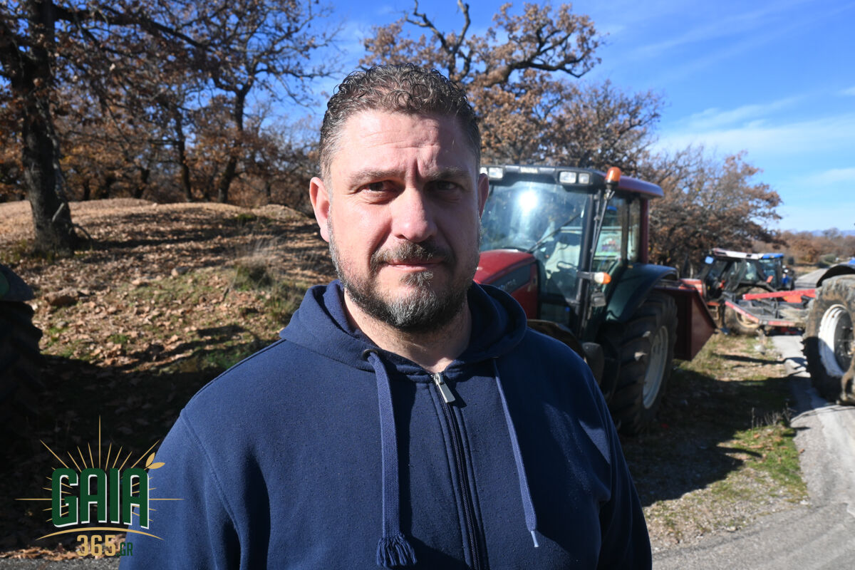 mploko panopoulou 16