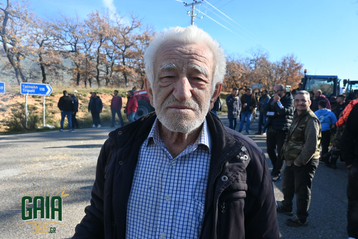 mploko panopoulou 17