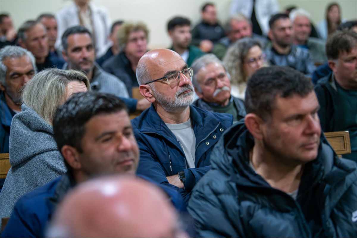 olumpia evlogia enim 12