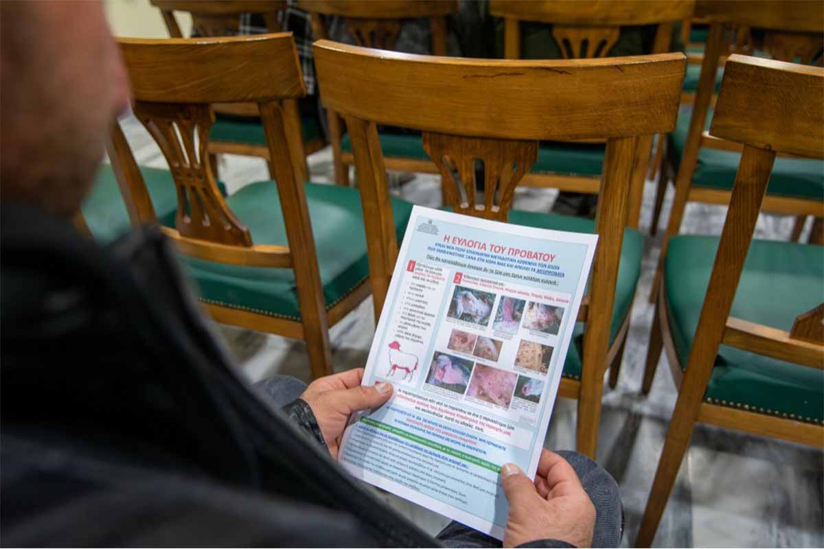 olumpia evlogia enim 13