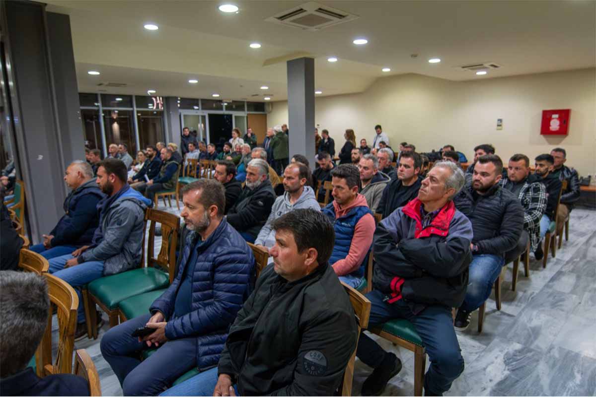 olumpia evlogia enim 6