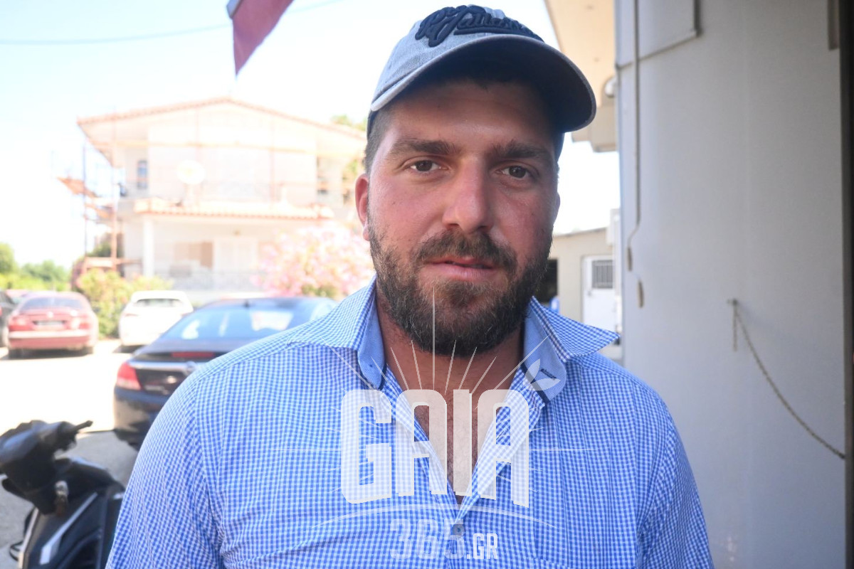 arguropoulos dimitris