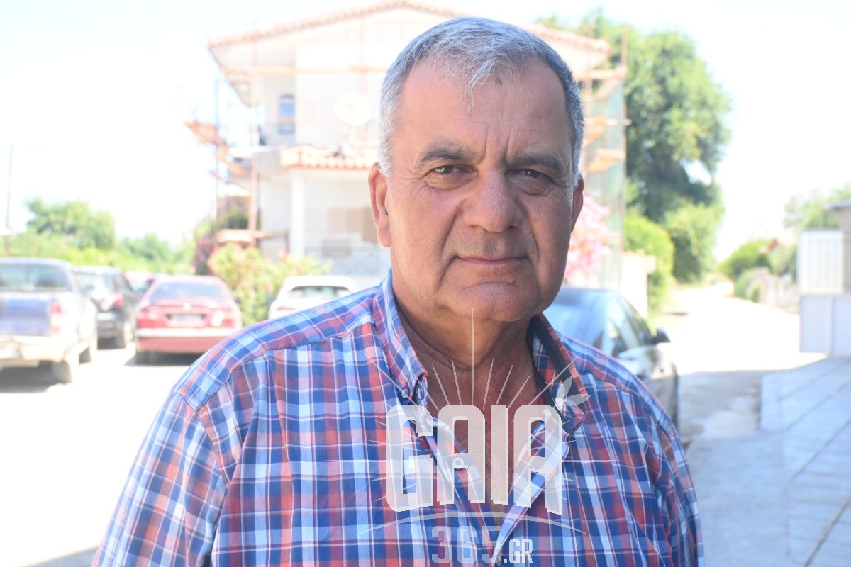 panagiotopoulos arguris