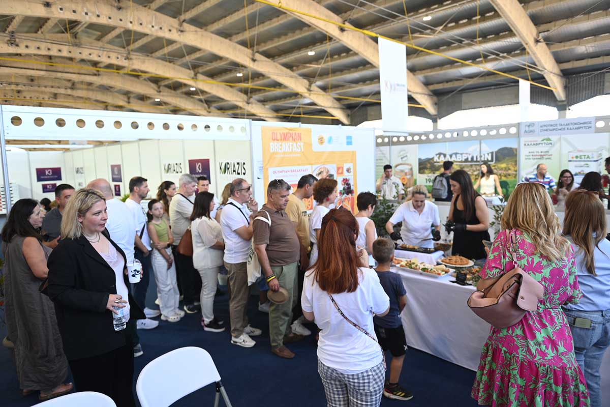 dt patras expo 3