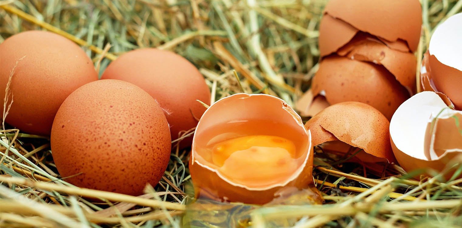 Γρίπη, ζωοτροφές και τουρισμός απογείωσαν τις τιμές των αυγών