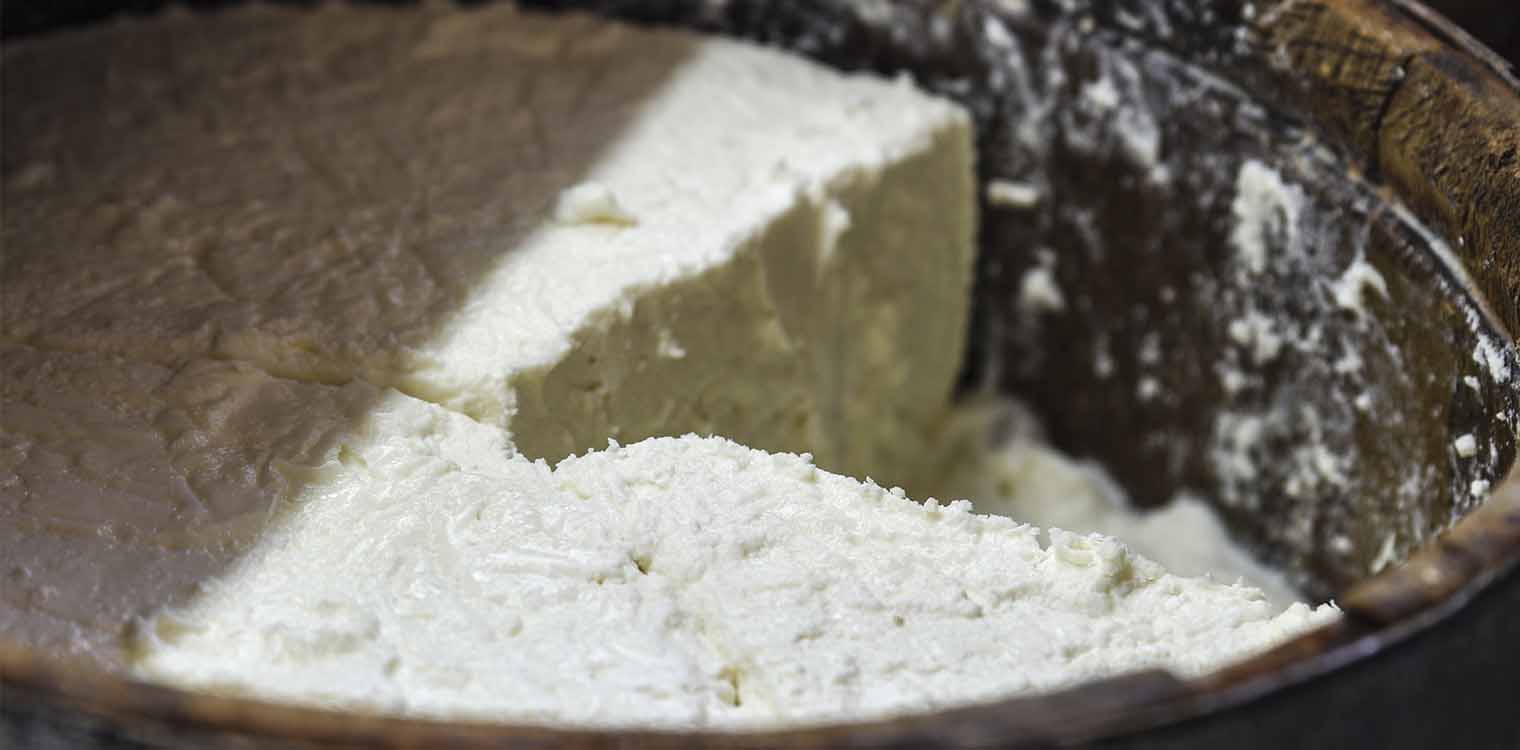 Ανάρπαστα τα Ελληνικά τυριά παρά τις αυξήσεις στο γάλα, τιμές αναμένουν οι κτηνοτρόφοι