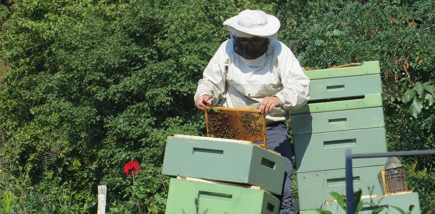 Η Βουλή δίνει 1.200 κυψέλες σε πληγέντες από τα καιρικά φαινόμενα μελισσοκόμους