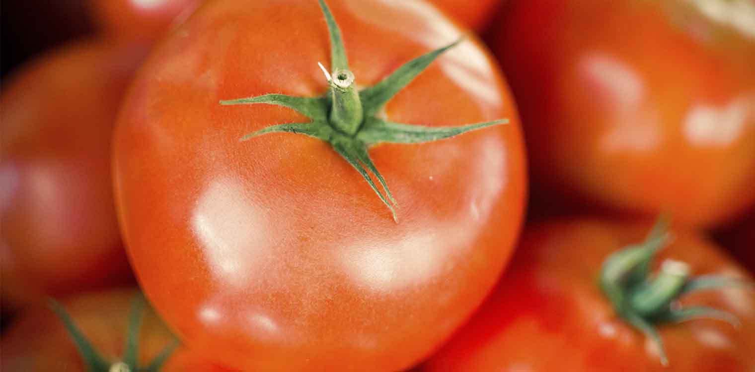 Τι συμβαίνει με την τιμή της ντομάτας - Γιατί αυξάνεται