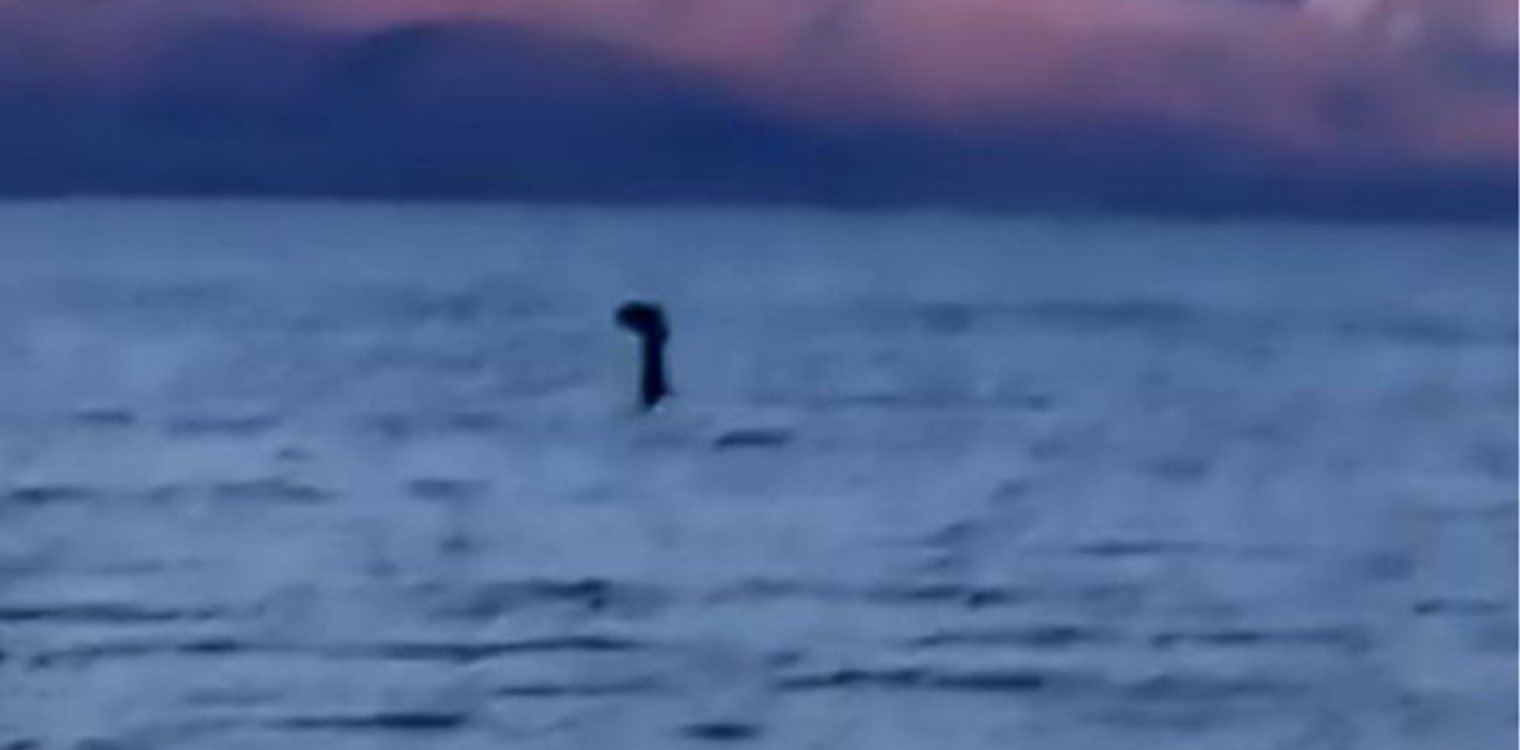 Το τέρας του Λοχ Νες μπορεί να ήταν ένα τεράστιο χέλι, σύμφωνα με έρευνα