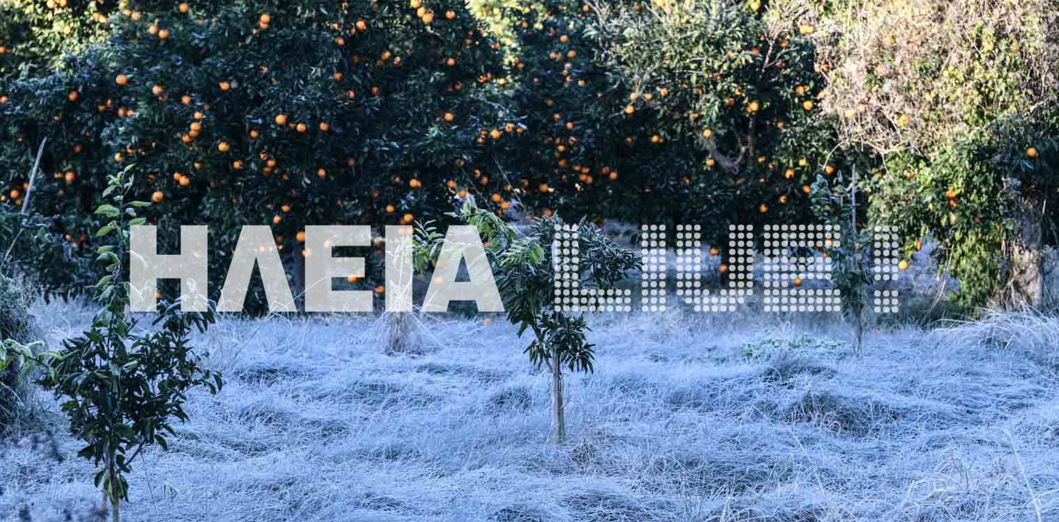 Ηλεία: Με χαμηλές θερμοκρασίες και παγετό την Τρίτη