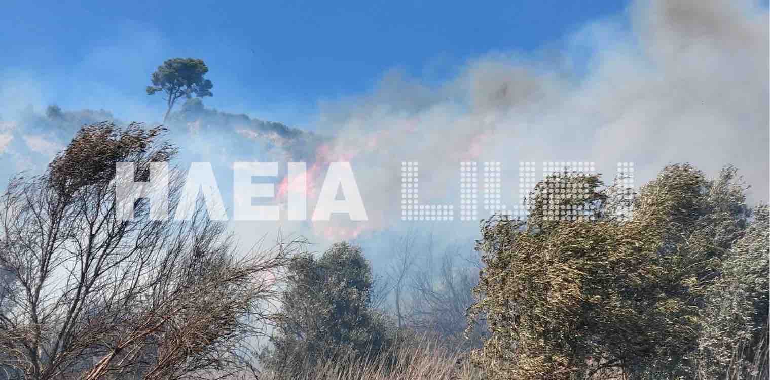 Πύργος: Νέα φωτιά ανάμεσα Λαμπέτι και Κολίρι