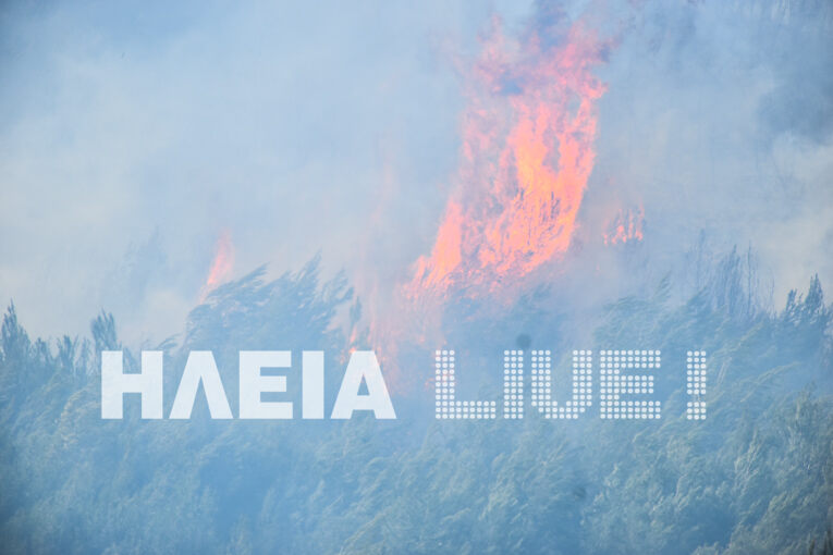 Lampeti fire 3
