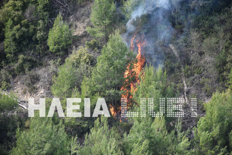 Lampeti fire 7