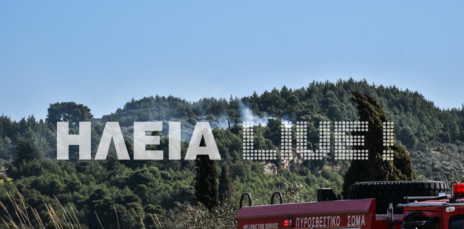 Αμαλιάδα: Δασική πυρκαγιά στο Κρυονέρι σε εξέλιξη
