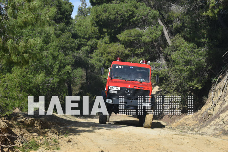 fotia kruoneri 14