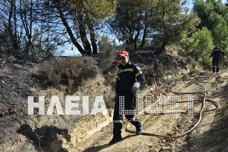 fotia kruoneri 16