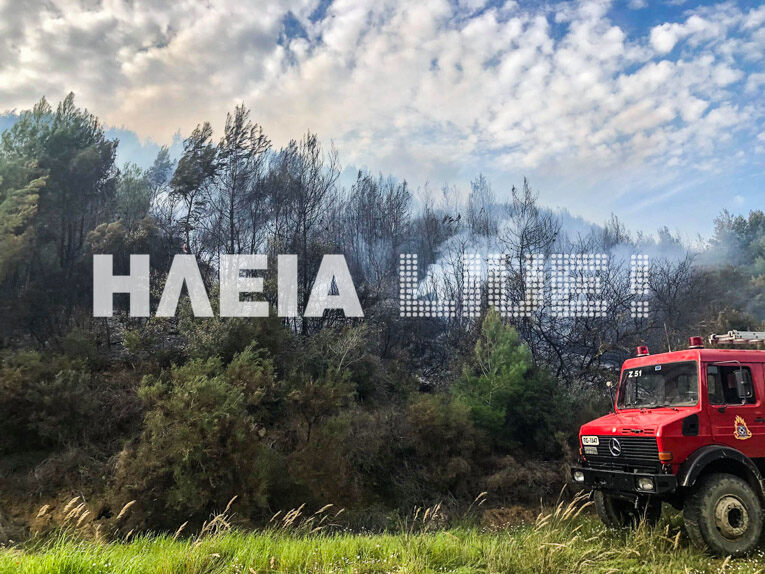 fotia lampeti 12