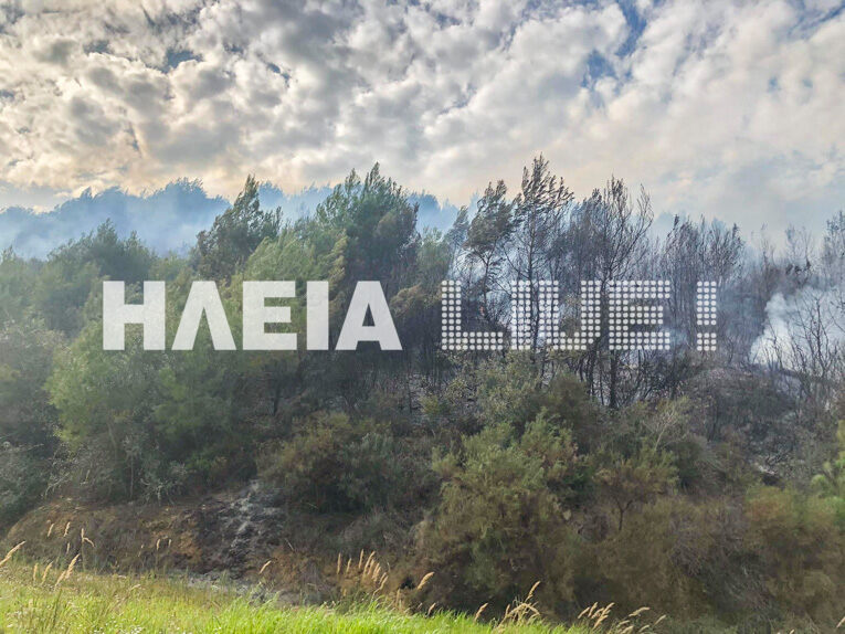 fotia lampeti 13