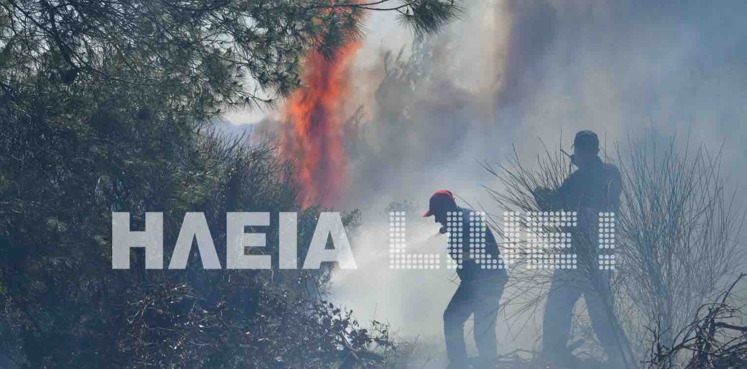 Μπαράζ πυρκαγιών - Νέα φωτιά σε δάσος στο Λάσδικα Αρχ. Ολυμπίας (upd)