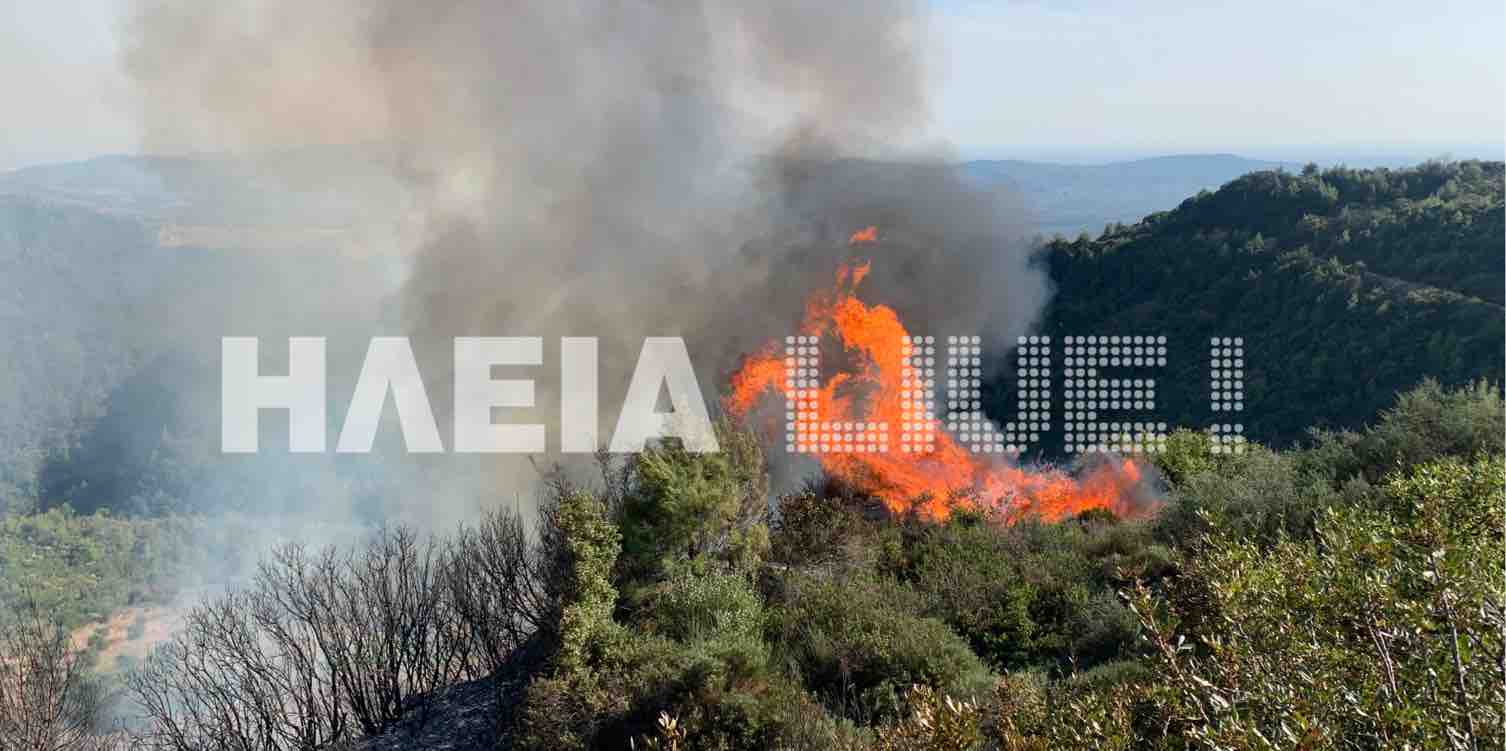 Αγ. Απόστολοι Πύργου: Μεγάλη αγροτοδασική πυρκαγιά σε εξέλιξη - Στάχτη 50 στρέμματα