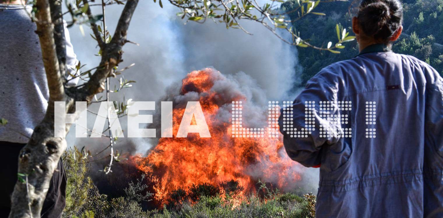 Τρεις φωτιές και ένα αυτόφωρο στην Ηλεία το Σάββατο