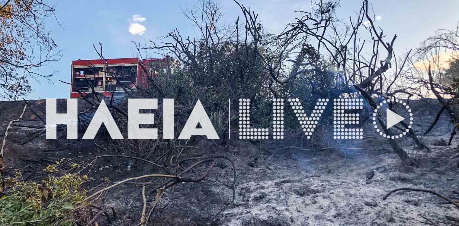 Κοτέικα Κουρτεσίου: Στάχτη 30 στρέμματα δασικής έκτασης