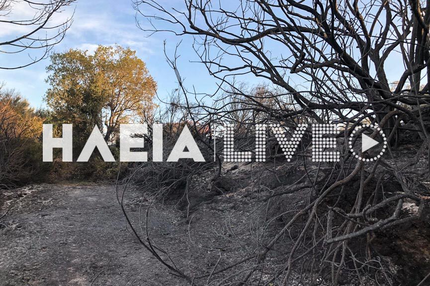 fotia koteika 6