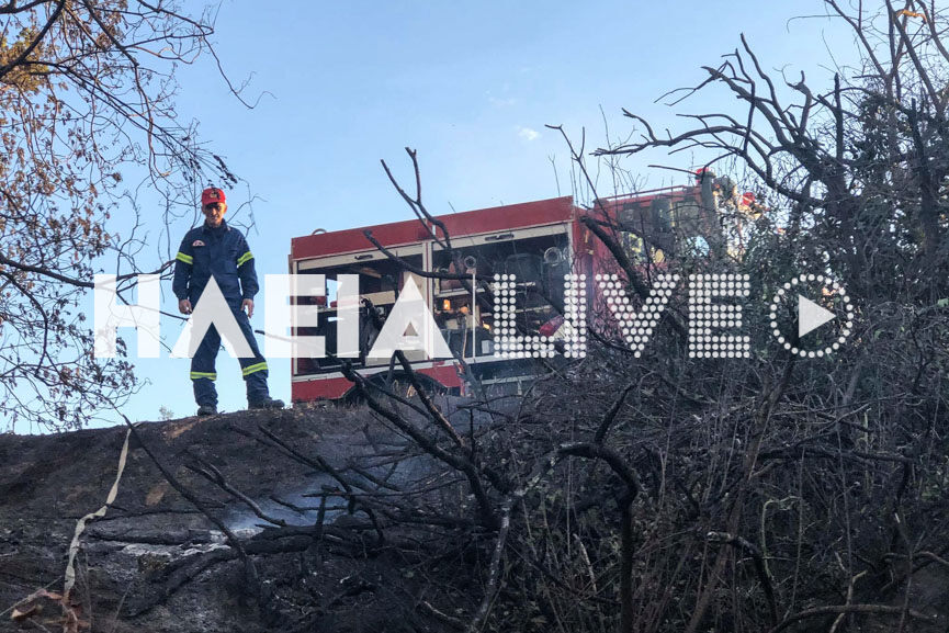 fotia koteika 7