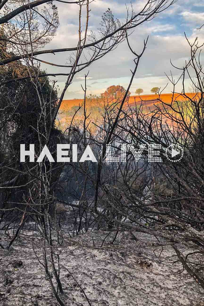 fotia koteika 8