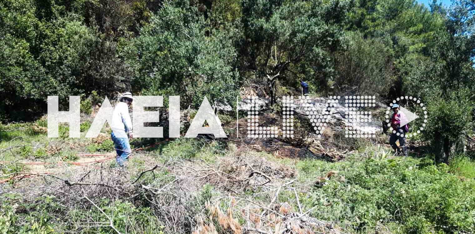 Κρέστενα: Μια σύλληψη για εμπρησμό από αμέλεια στη φωτιά του Γρύλλου
