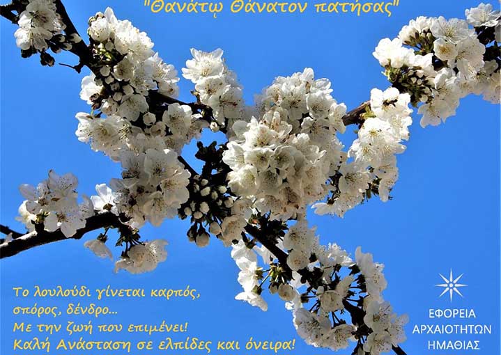 APe karta3