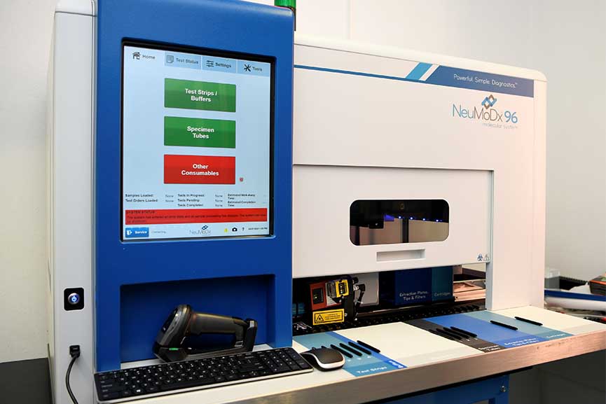 elpe covid2