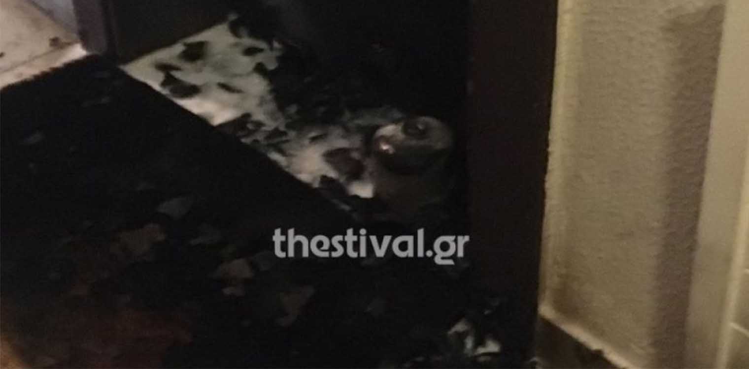 Θεσσαλονίκη: Η «Οργάνωση Αναρχική δράση» ανέλαβε την ευθύνη για την επίθεση στο γραφείο της Άννας Ευθυμίου