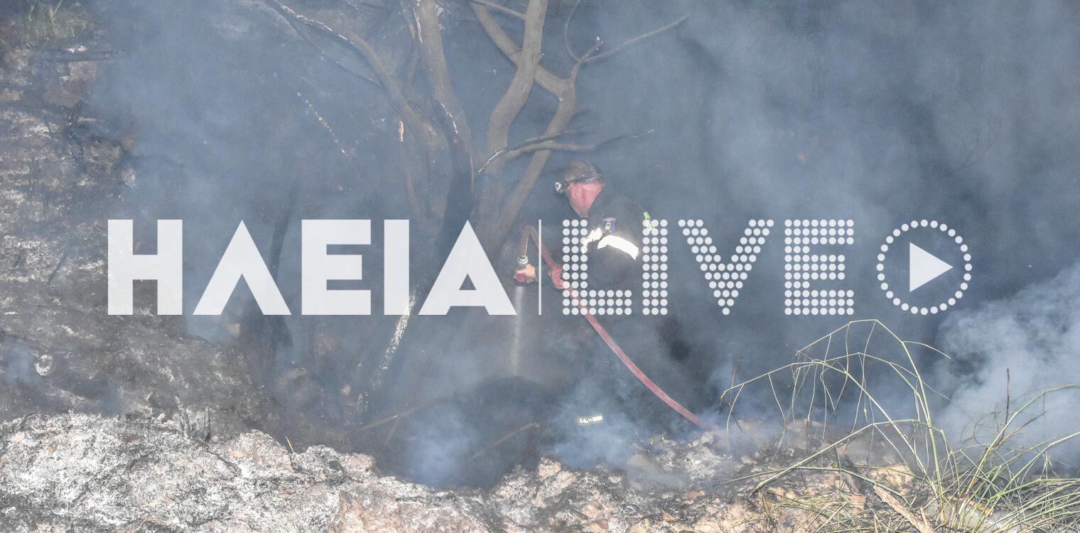 Ανησυχία στην Κρέστενα - Ύπουλος εμπρησμός στο τελευταίο παρθένο δάσος