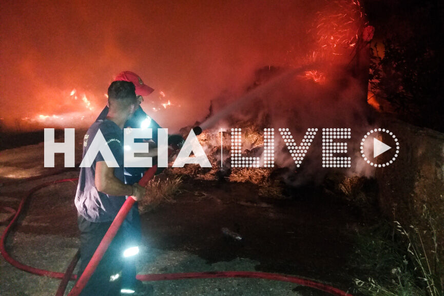 fotia kavasila 2