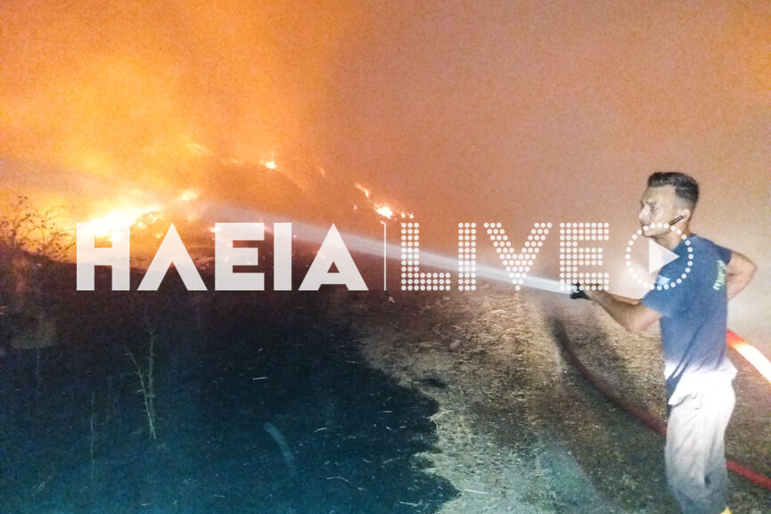 fotia kavasila 5