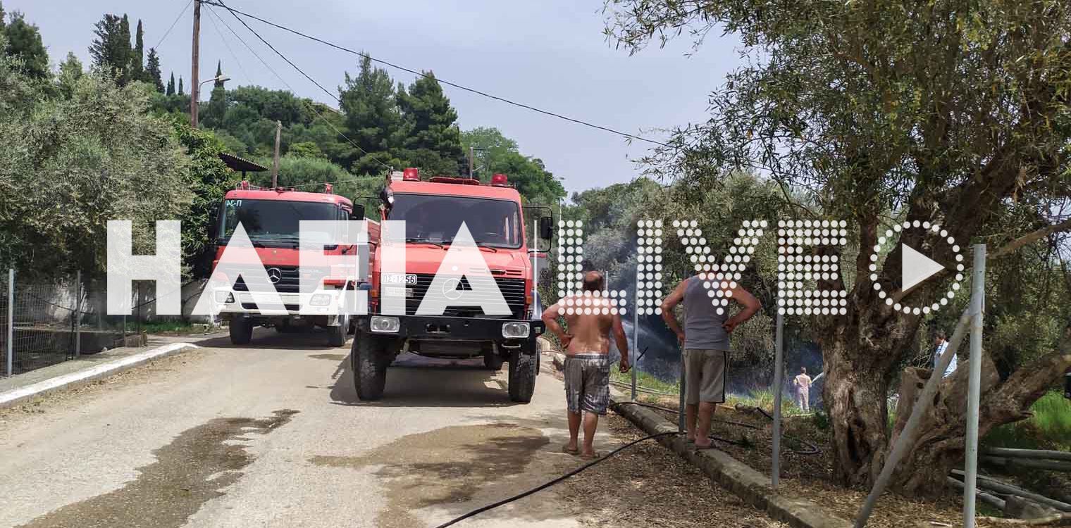 Σμίλα Ολυμπίας: Ξέσπασε πυρκαγιά σε δασική έκταση - Πρόλαβαν οι πυροσβέστες
