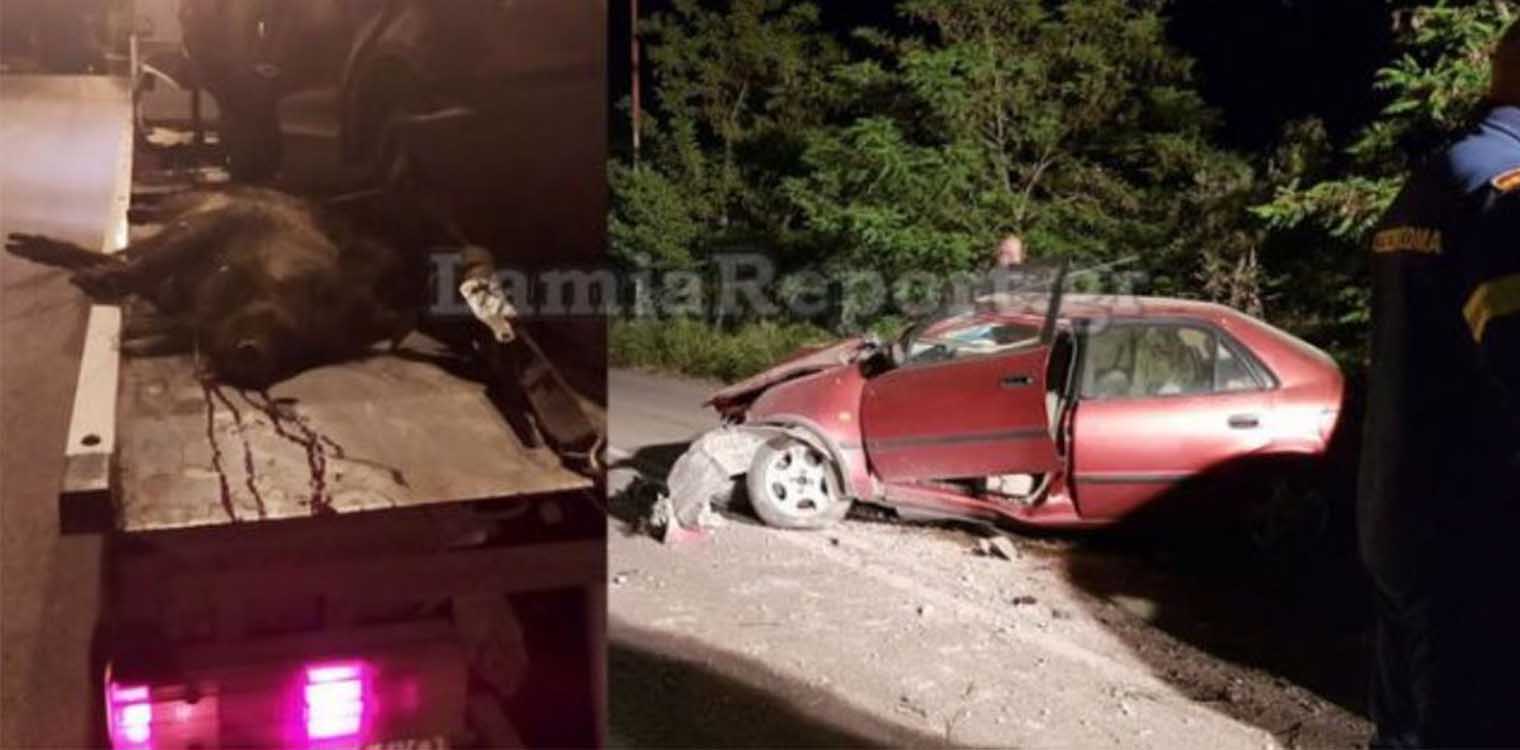 Λαμία: Στην Εντατική παραμένει ο 63χρονος μετά το τροχαίο με μεγάλο αγριογούρουνο