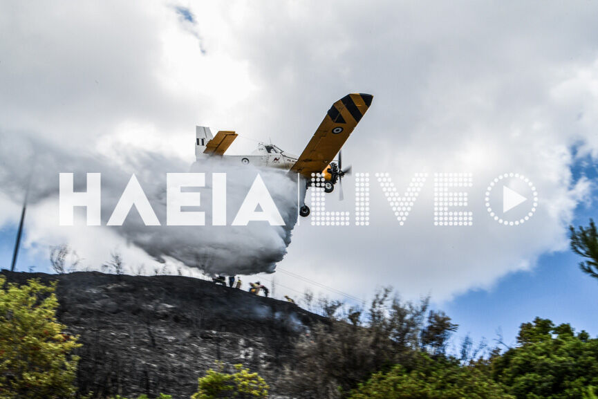 pzl2