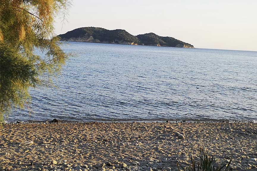 zakunthos caretta2