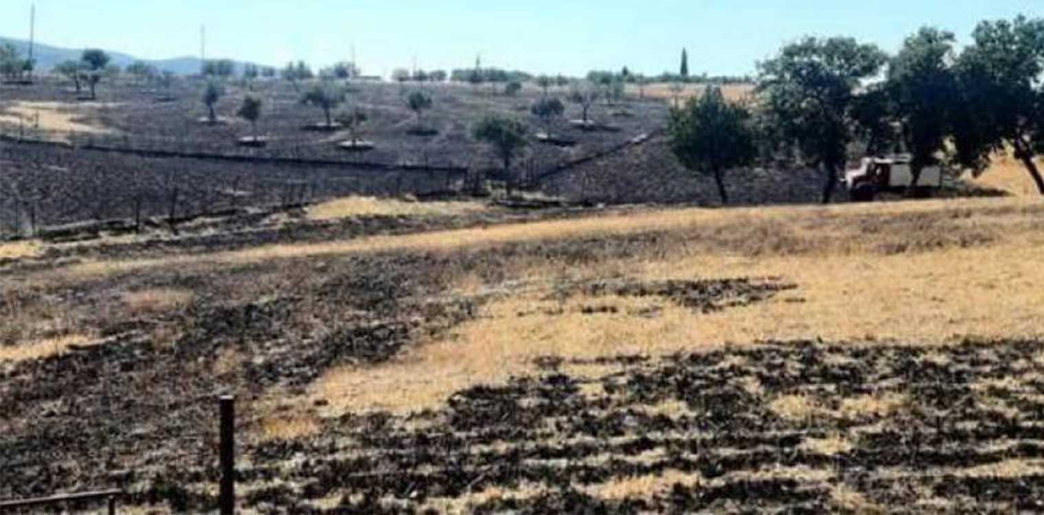 Φωτιά στην Ωλενία - Άμεση η επέμβαση της Πυροσβεστικής (photos)
