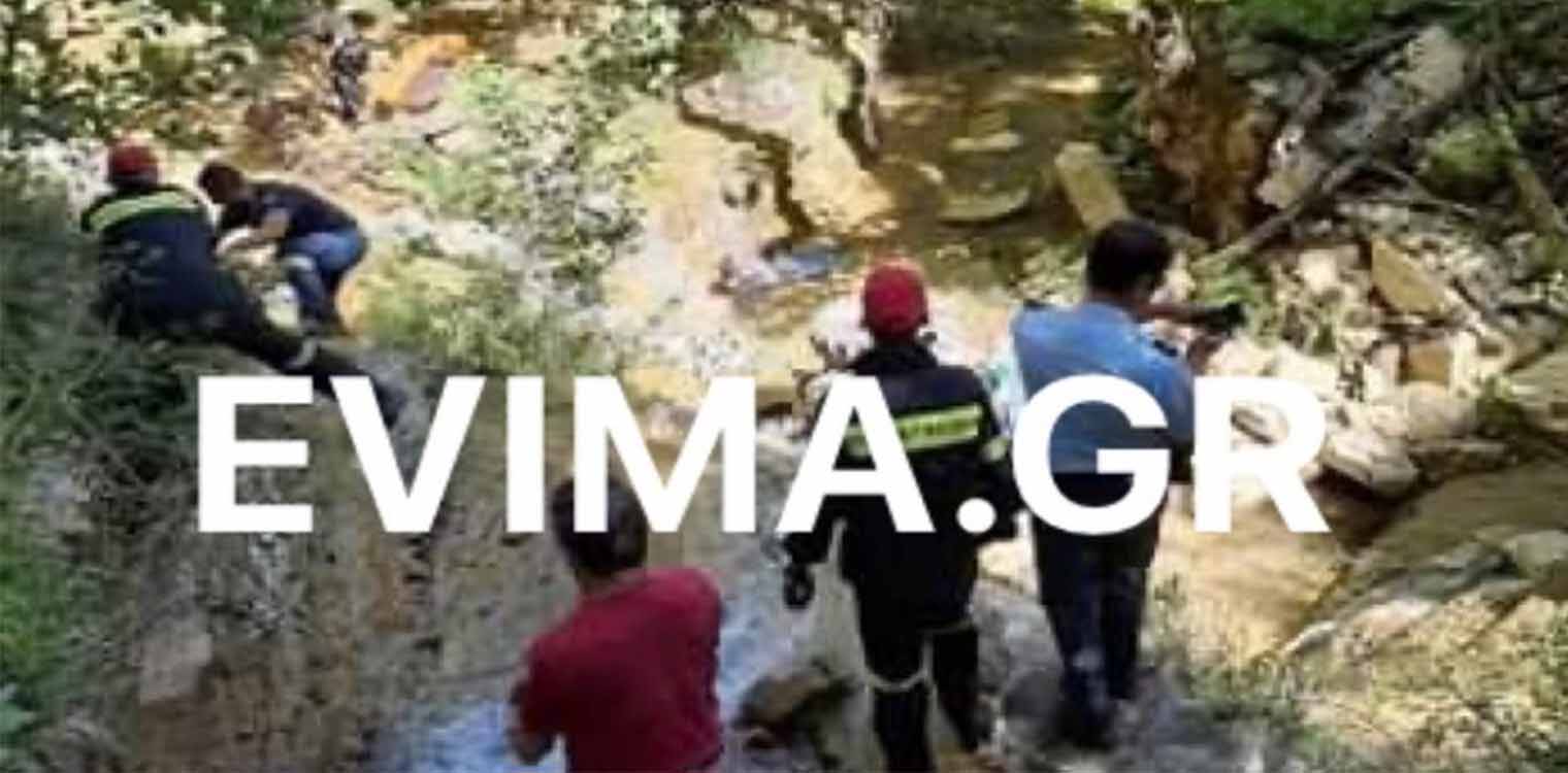Εύβοια: Τρακτέρ έπεσε σε γκρεμό 50 μέτρων - Νεκρός ο οδηγός