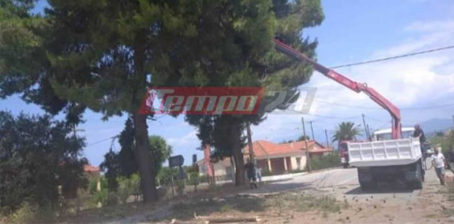 Πατρών - Πύργου: Κλαδί δέντρου έπεσε σε διερχόμενο όχημα (photos)