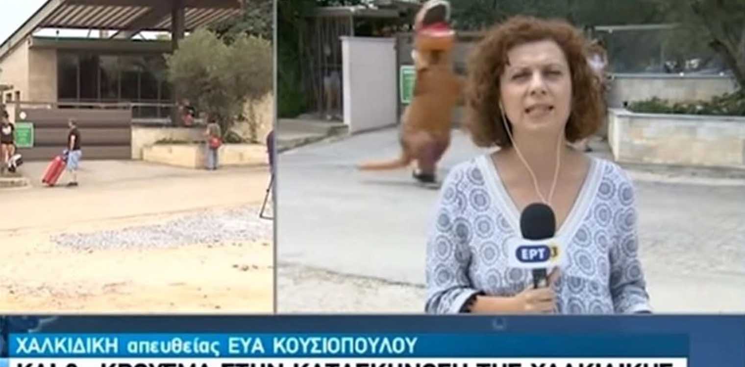 "Δεινόσαυρος" τρέχει πίσω από δημοσιογράφο της ΕΡΤ την ώρα του live