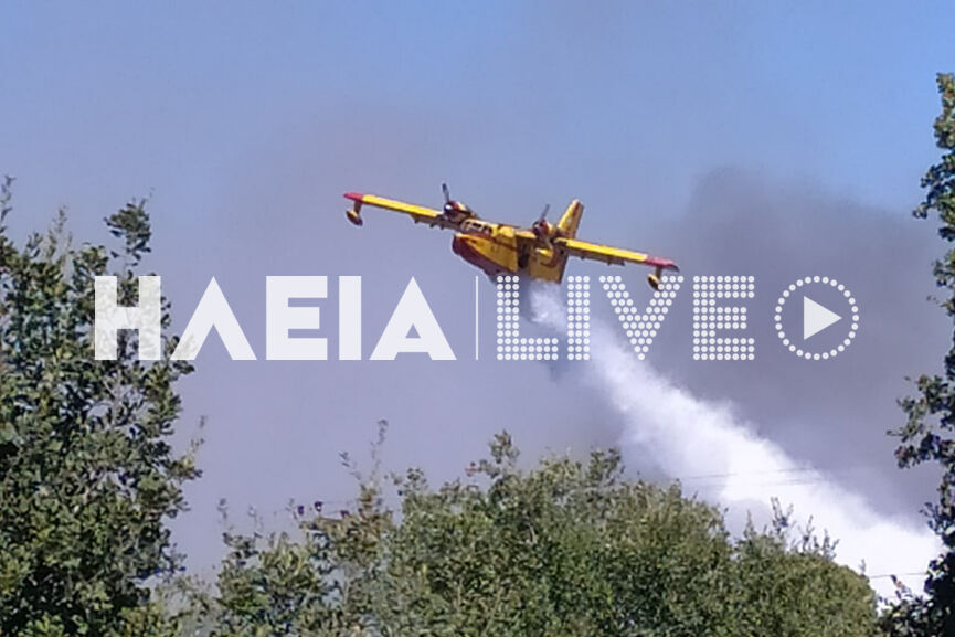 fotia raxes 20