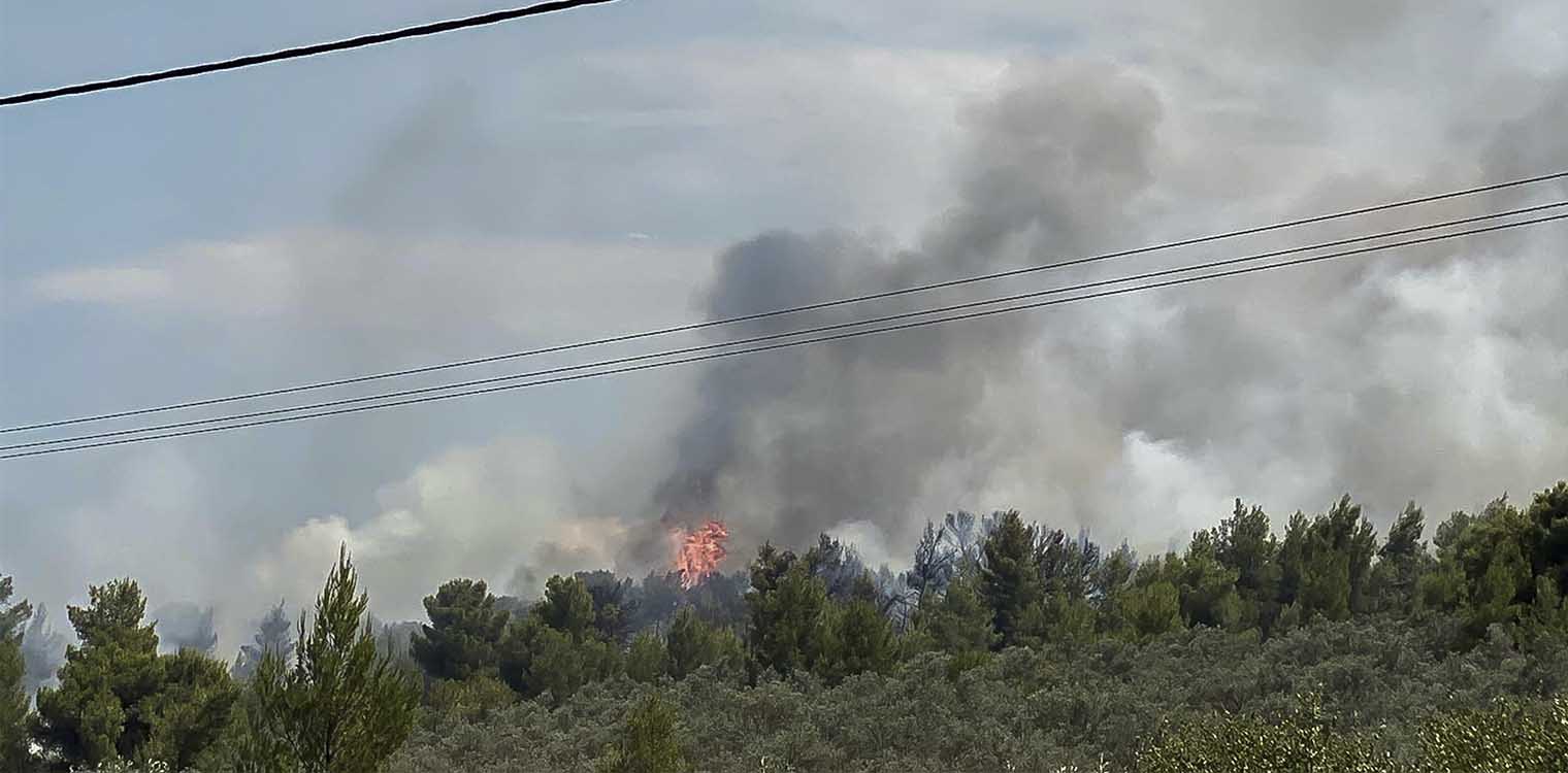 Φωτιά στον Θεολόγο Φθιώτιδας: Καίει πευκοδάσος