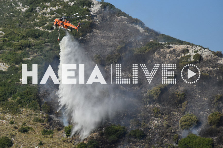 Lasiona fire 4